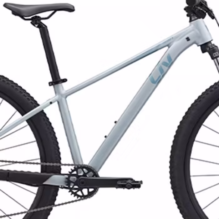 Велосипед горный GIANT Tempt 4 Albastru deschis - 5