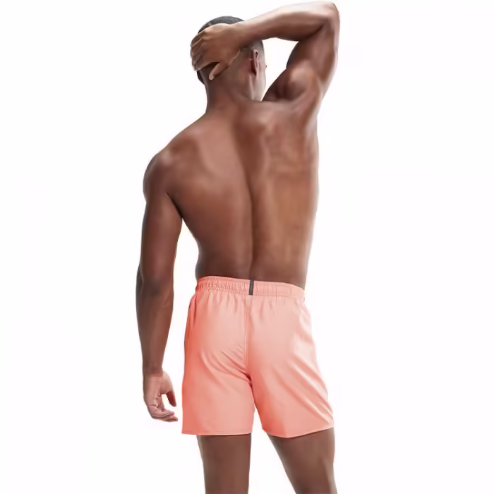 Sorti p/u inot Speedo PRIME LEIS 16  WS AM - 3