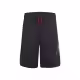 Sorti Nike JUMPMAN BIG AIR MESH SHORT