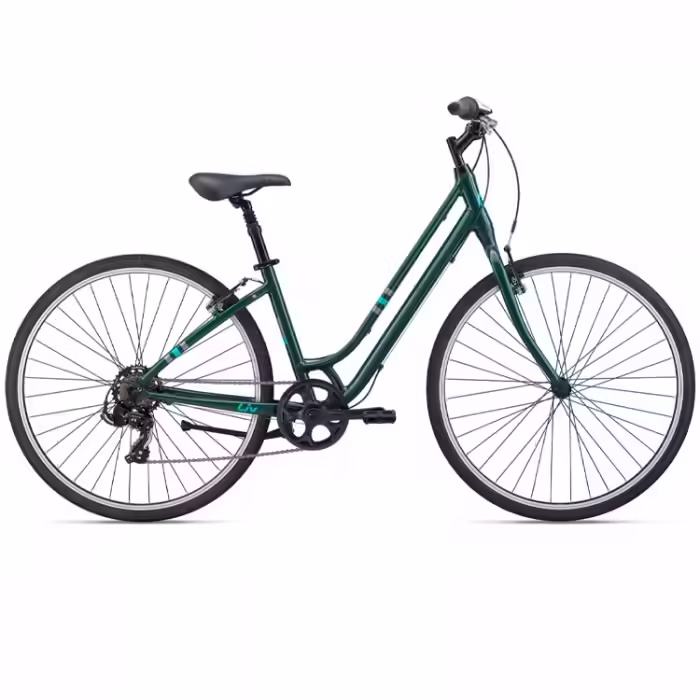 Bicicleta Aventure Liv Flourish 4