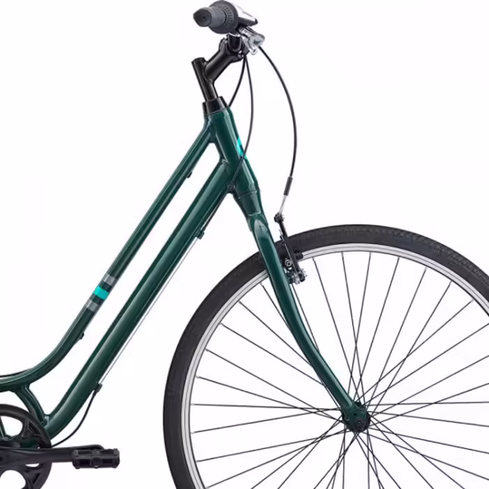 Bicicleta Aventure Liv Flourish 4 - 2