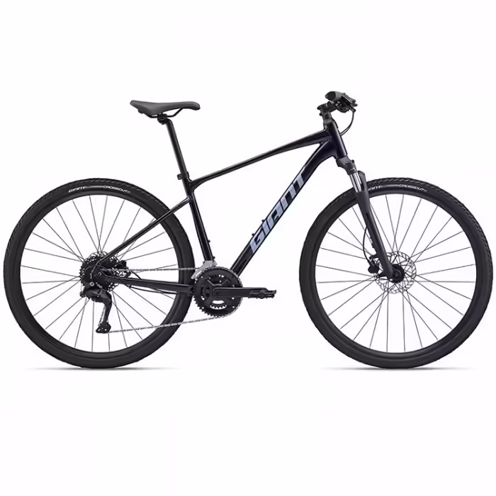 Bicicleta de touring Giant Roam 3 Albastru