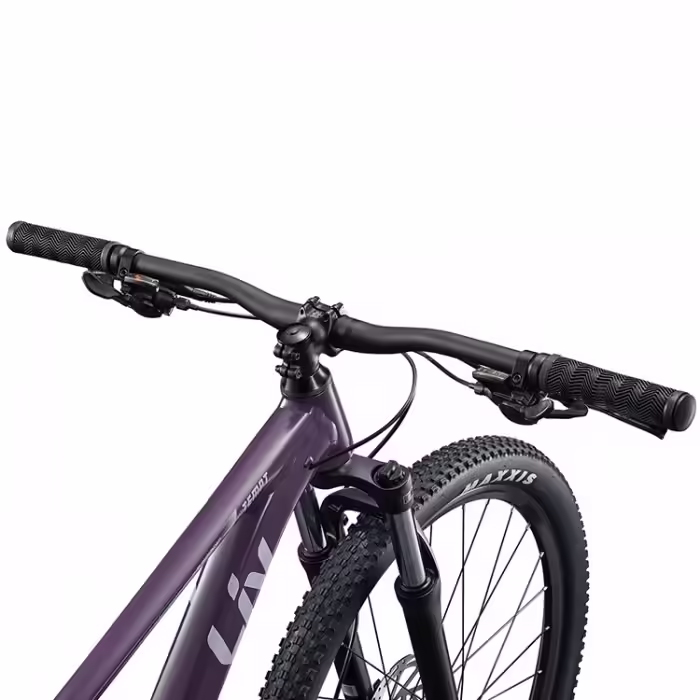 Велосипед горный GIANT Tempt 29 3 Violet - 3