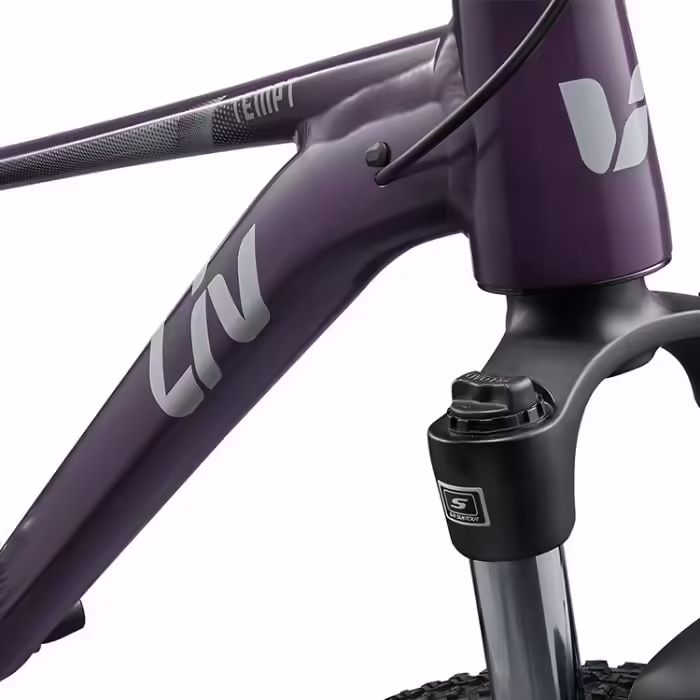 Велосипед горный GIANT Tempt 29 3 Violet - 5