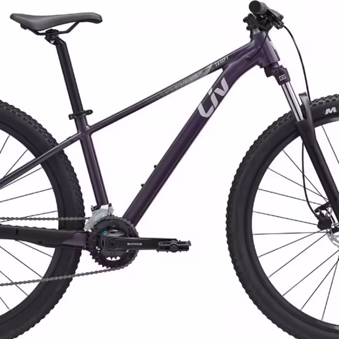 Велосипед горный Giant Tempt 29 3 Negru - 4