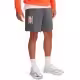 Шорты Under Armour UA Rival TerryLogo8inShort