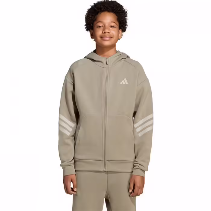 Толстовка Adidas FUTURE ICONS