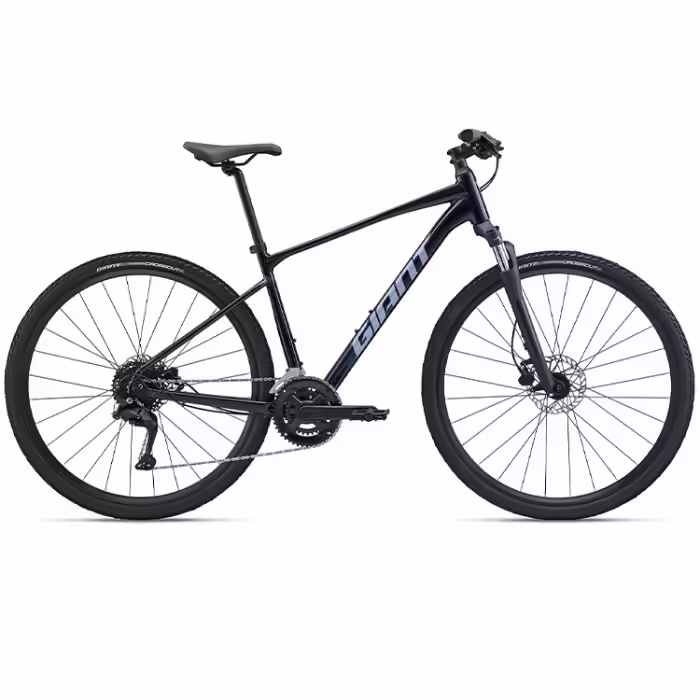 Bicicleta de touring Giant Roam 3 Albastru