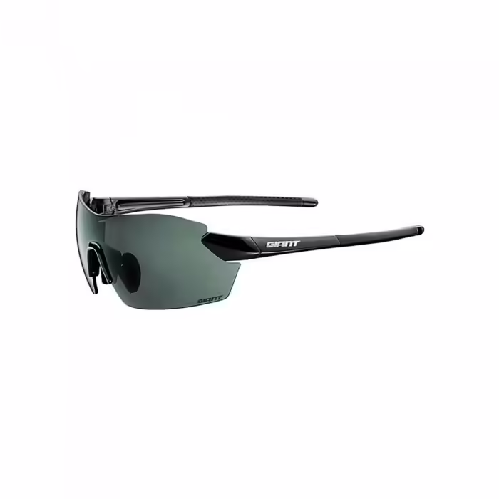 Ochelari de soare Giant APUS