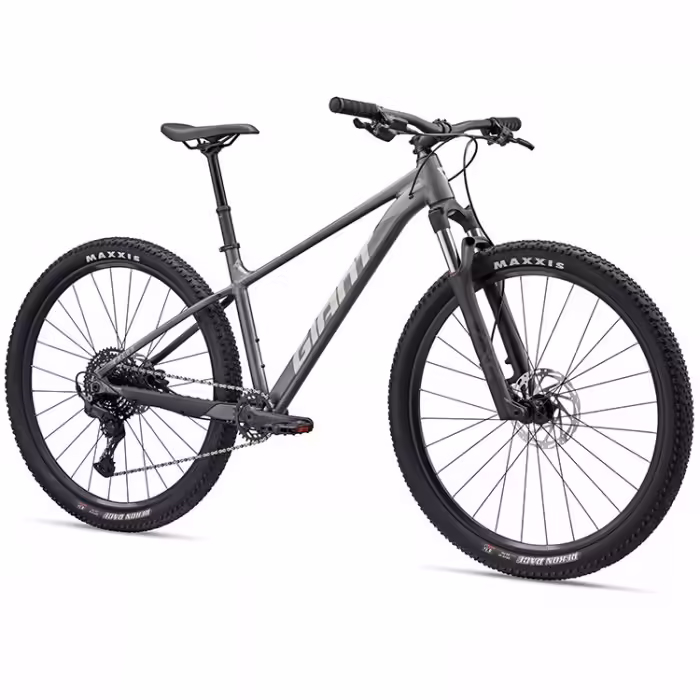 Bicicleta de munte Giant Talon 29 1 Gri - 2