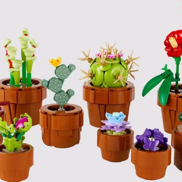 Конструктор Lego 10329 - 2