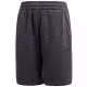 Sorti Adidas Yb Remix Short
