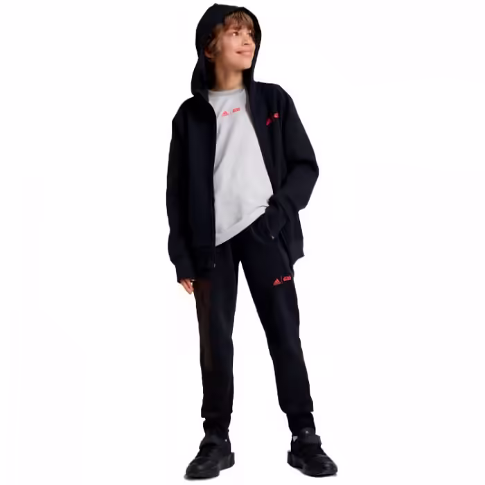 Брюки Adidas J SW ZNE PNT