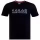 Футболка Kailas Big Logo Cotton T-shirt Mens 