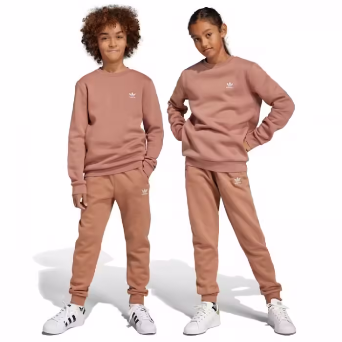 Брюки Adidas PANTS