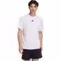 Alb