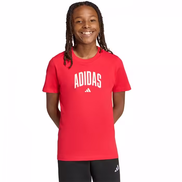 Футболка Adidas Collegiate Graphic