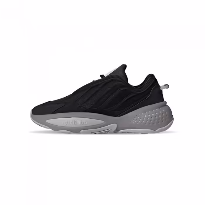 Incaltaminte Sport Adidas OZRAH W