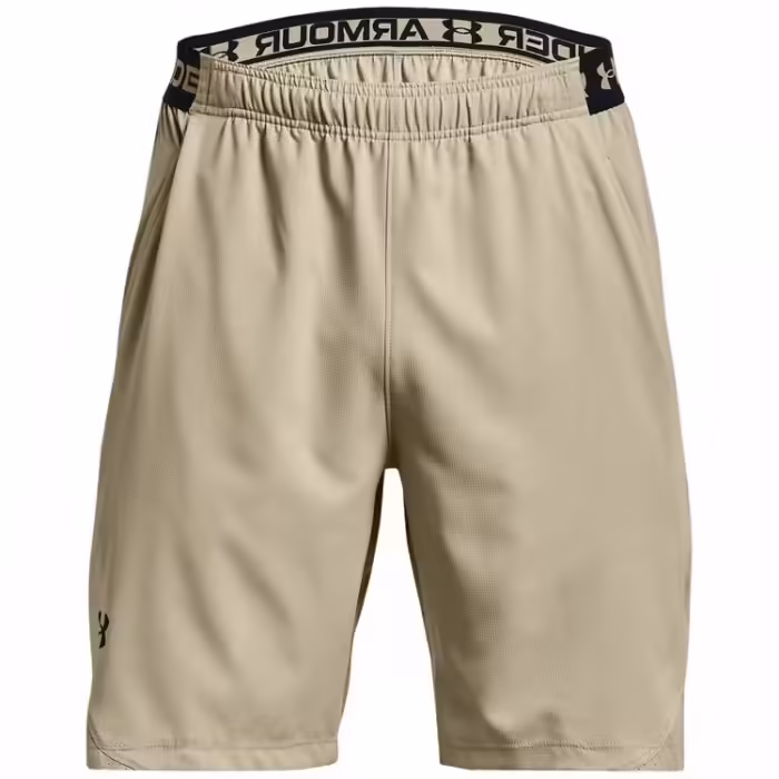 Шорты Under Armour UA Vanish Woven Shorts