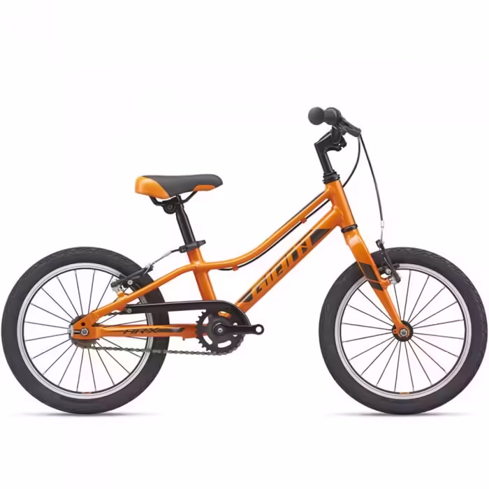Bicicleta p/u copii Giant ARX F/W