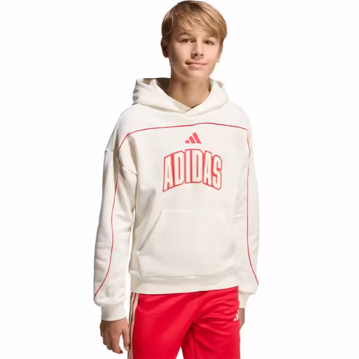 Толстовка Adidas STADIUM HOODY