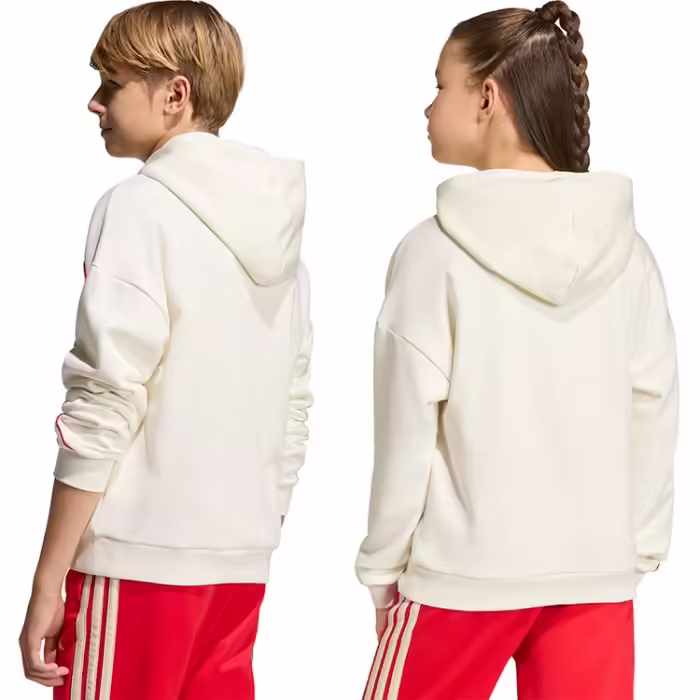 Толстовка Adidas STADIUM HOODY - 3