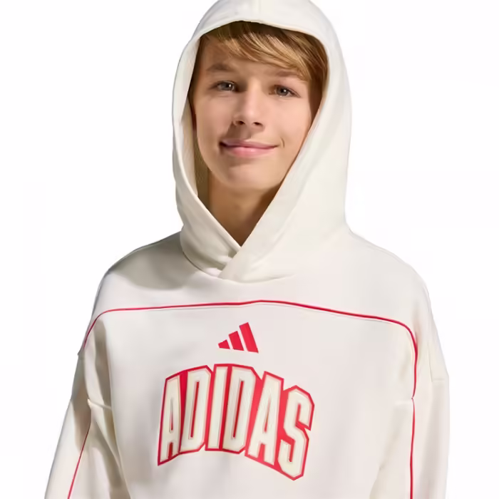 Толстовка Adidas STADIUM HOODY - 7