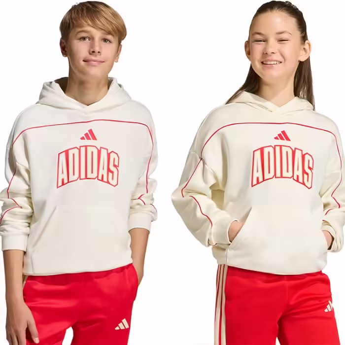 Толстовка Adidas STADIUM HOODY - 8