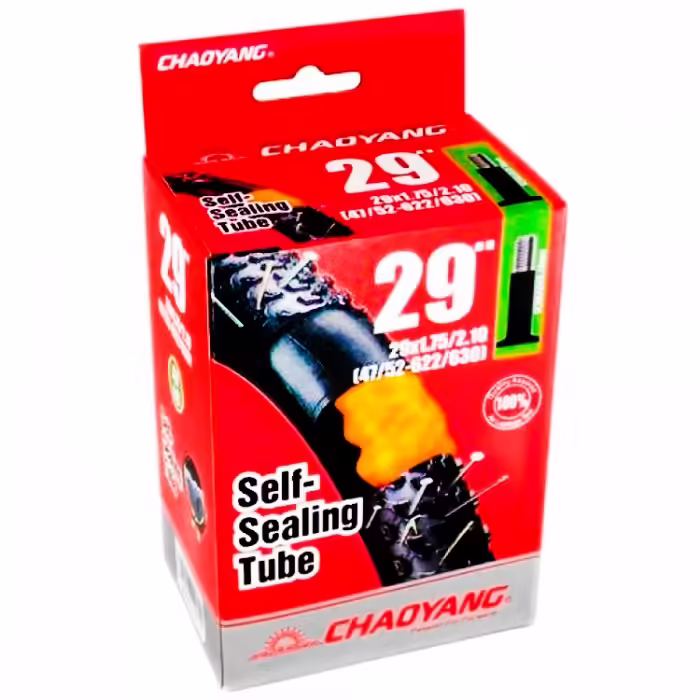 Камера Chaoyang Y110303F 29x1.75-2.1 AV 48 mm