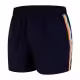 Шорты Speedo RETRO 13 WATERSHORT AM