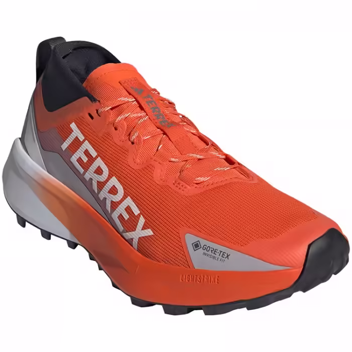 Incaltaminte Sport Adidas Terrex Agravic GTX - 6