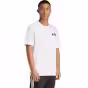 Alb