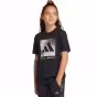 Negru