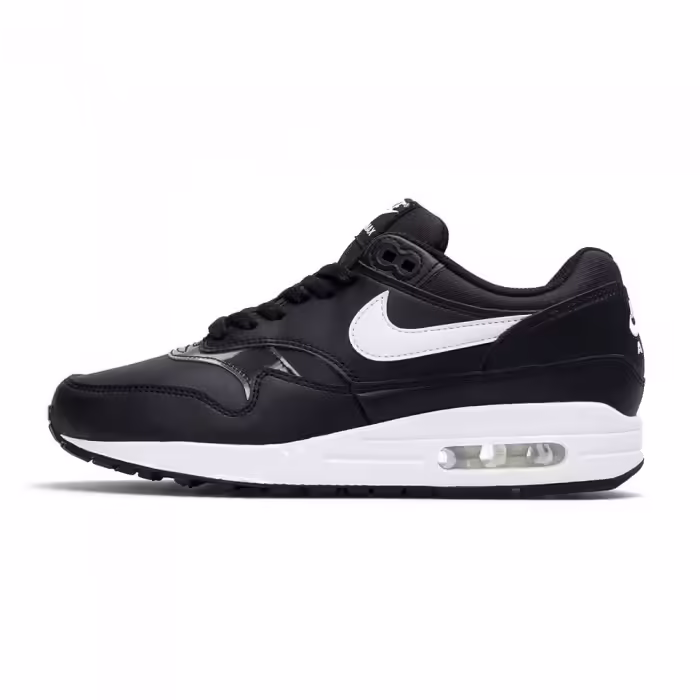 Incaltaminte Sport Nike WMNS AIR MAX 1