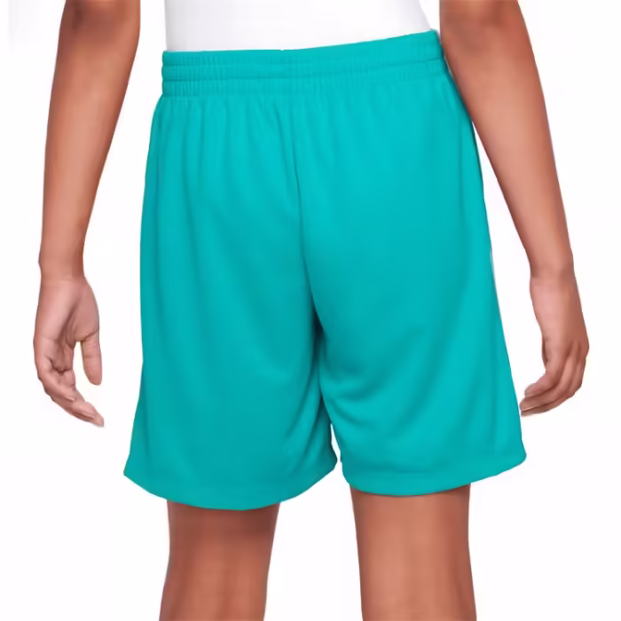 Шорты Nike B NK DF MULTI SHORT HBR - 4