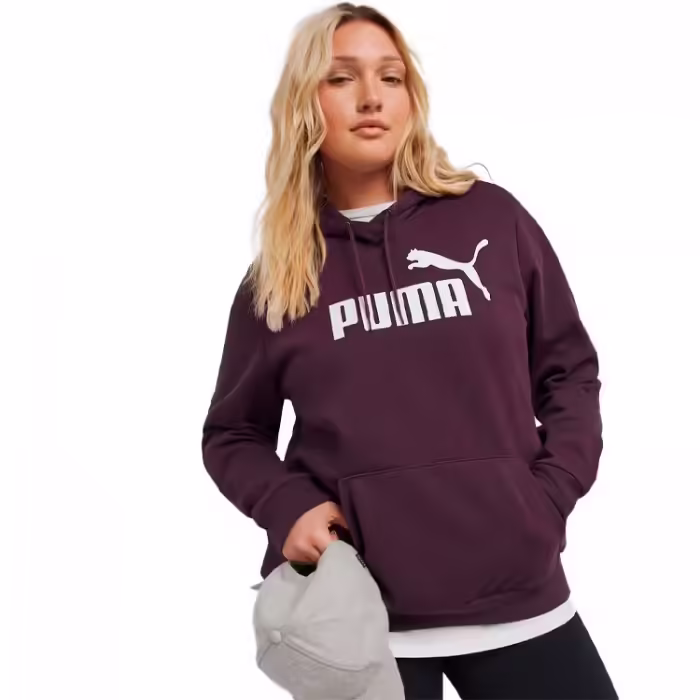 Толстовка Puma ESS Logo Hoodie FL