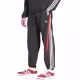Брюки Adidas ARCHIVE PANT