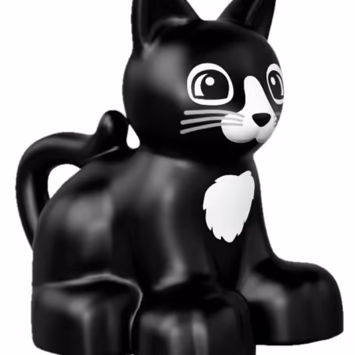 Constructori Lego 10847 - 4