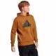 Толстовка Adidas M FI BOS HD