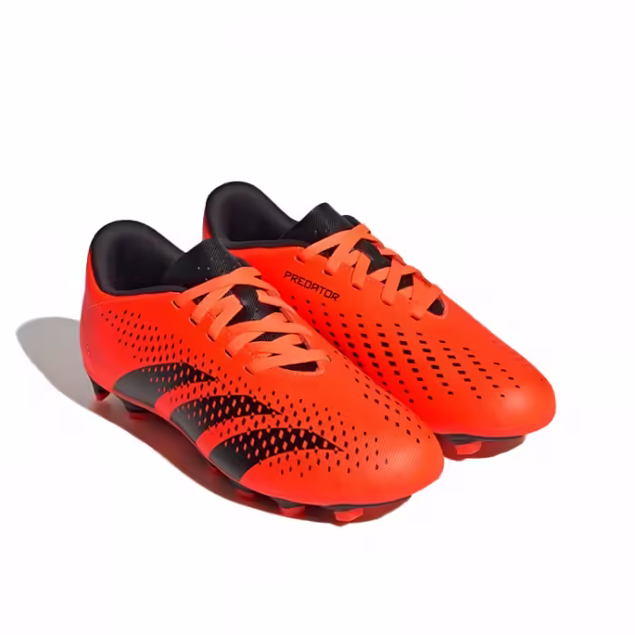 Бутсы Adidas PREDATOR ACCURACY.4 FxG J - 2