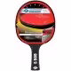 Ракетка для настольного тенниса Donic Protection Line S500