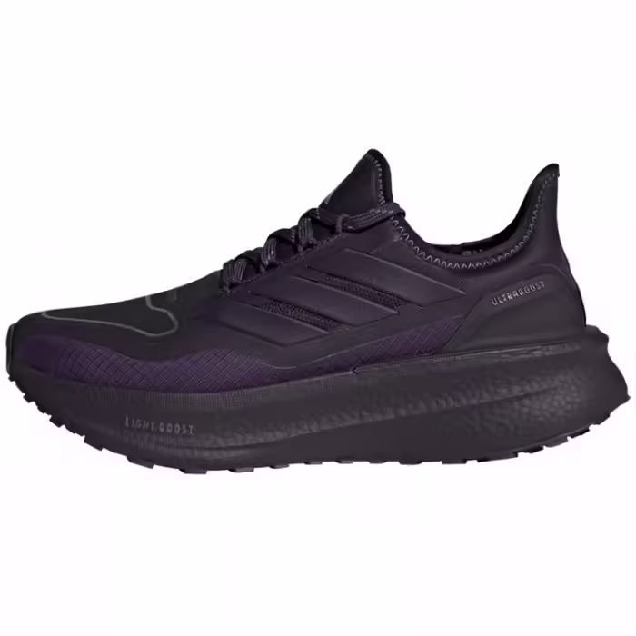 Incaltaminte Sport Adidas ULTRABOOST 5 GTX W
