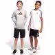 Шорты Adidas U TR-ES LOGO SH
