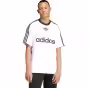 Alb