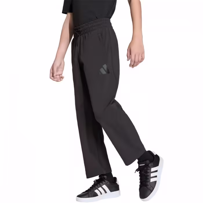 Брюки Adidas Z.N.E. WOVEN