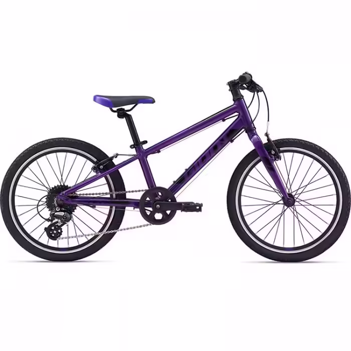 Bicicleta p/u copii Giant ARX 20