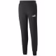 Брюки Puma ESS+ 2 Col Logo Pants FL