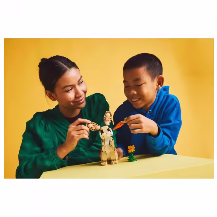 Constructor Lego 31162 - 12