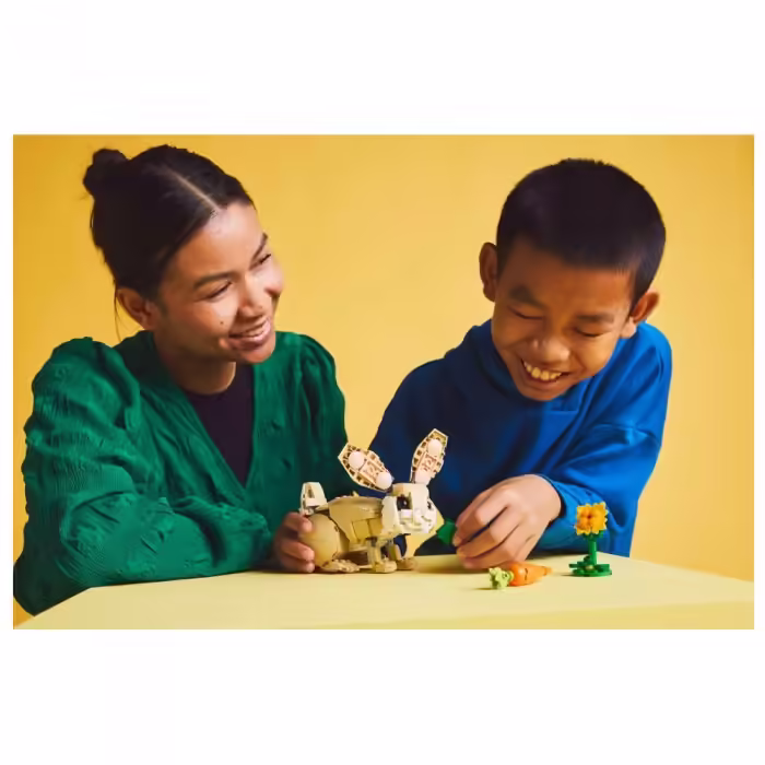 Constructor Lego 31162 - 13