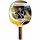 Paleta p/u tenis de masa Donic Waldner 500